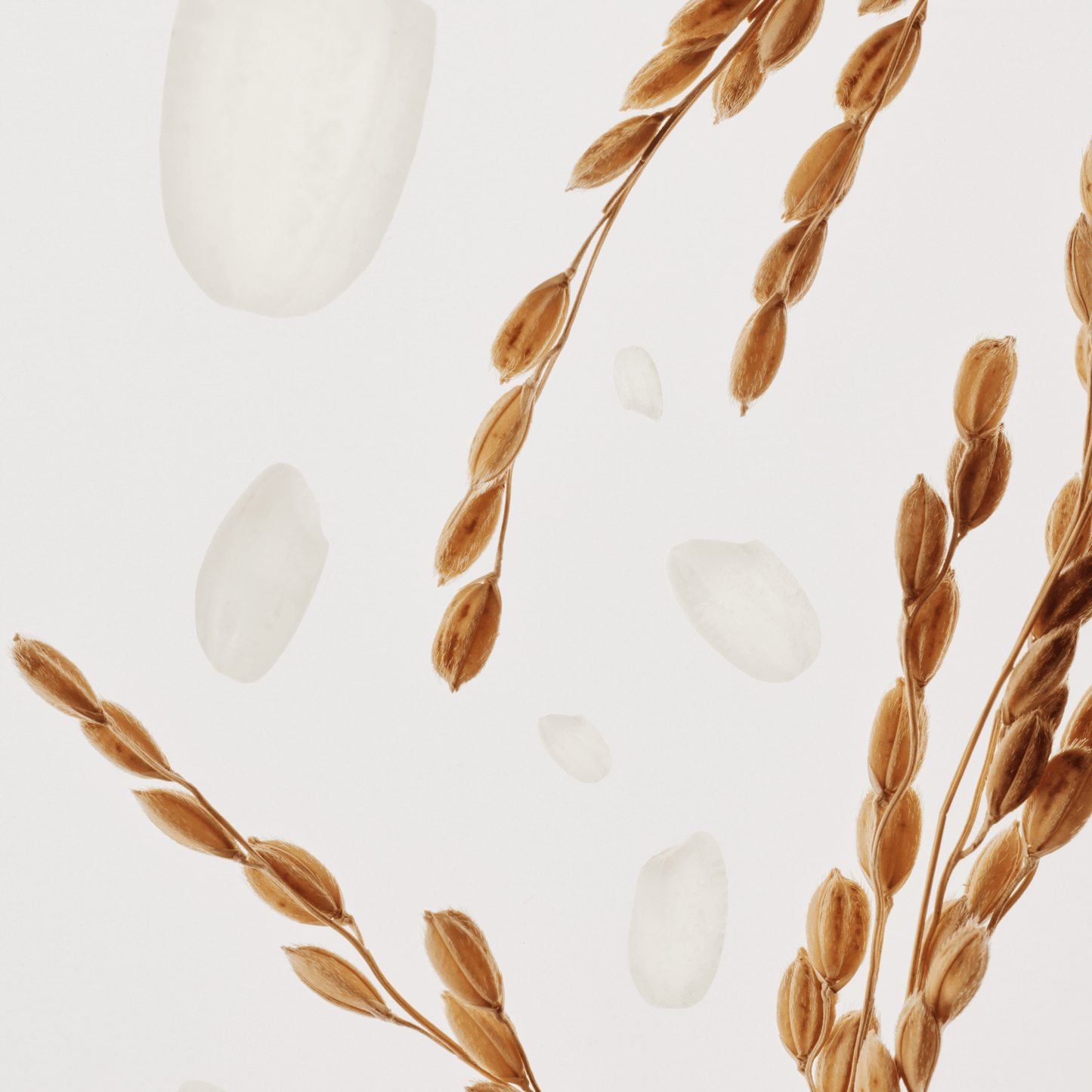 Glow Deep Serum : Rice + Alpha-Arbutin