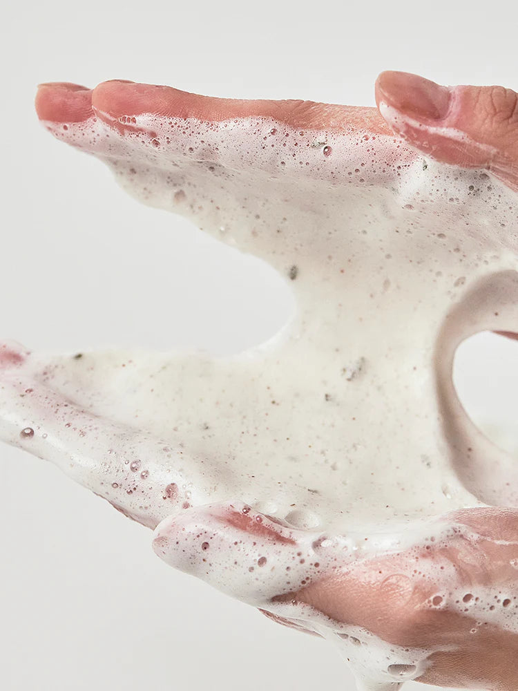 Heartleaf Quercetinol Pore Deep Cleansing Foam